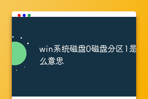 win系统磁盘0磁盘分区1是什么意思