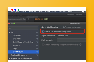国内go get方式安装提示超时怎么办？（附解决办法）