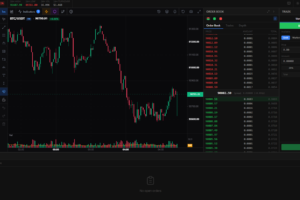 Bicrypto 6.0.5 加密货币交易所源码下载｜支持现货、二元期权与 KYC 的完整交易系统插图3