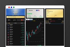 PHP国泰君安风格多语言微盘微交易所源码二开版