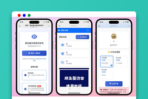 最新微信朋友圈访客记录系统修复版源码