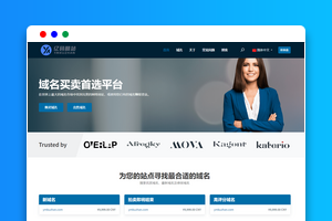 Laravel域名交易平台源码下载/域名买卖拍卖系统/网站交易/多语言/支付网关
